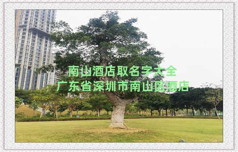 南山酒店取名字大全 广东省深圳市南山区酒店